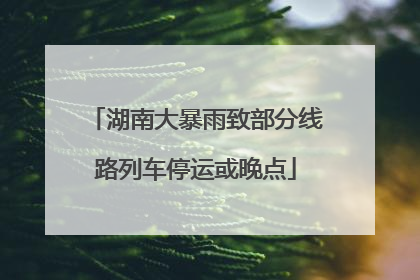 湖南大暴雨致部分线路列车停运或晚点