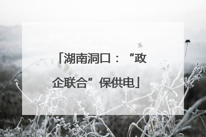 湖南洞口：“政企联合”保供电