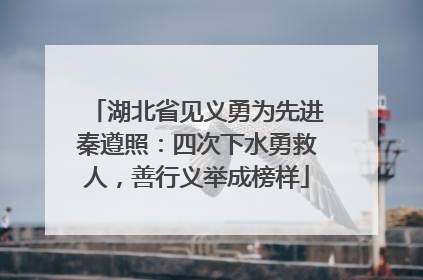 湖北省见义勇为先进秦遵照：四次下水勇救人，善行义举成榜样