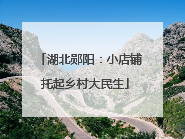 湖北郧阳：小店铺托起乡村大民生