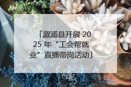 溆浦县开展 2025 年“工会帮就业”直播带岗活动
