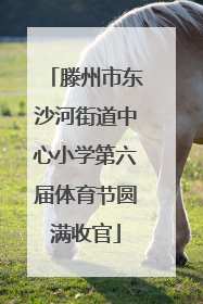 滕州市东沙河街道中心小学第六届体育节圆满收官