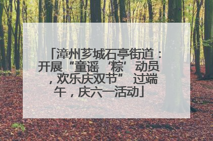 漳州芗城石亭街道：开展“童谣‘粽’动员，欢乐庆双节” 过端午，庆六一活动