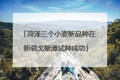 菏泽三个小麦新品种在新疆戈壁滩试种成功
