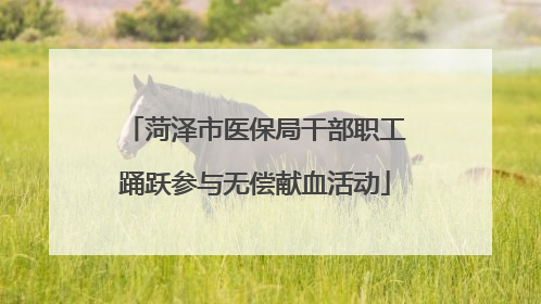 菏泽市医保局干部职工踊跃参与无偿献血活动