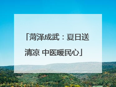 菏泽成武：夏日送清凉 中医暖民心