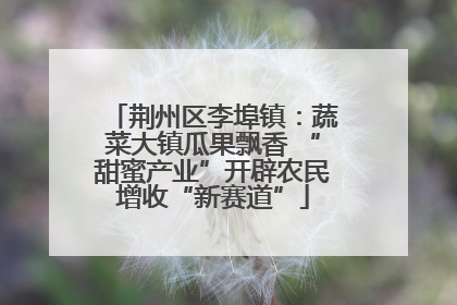 荆州区李埠镇：蔬菜大镇瓜果飘香 “甜蜜产业”开辟农民增收“新赛道”
