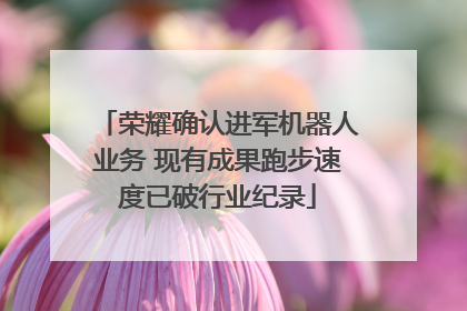 荣耀确认进军机器人业务 现有成果跑步速度已破行业纪录