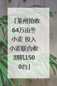 莱州抢收64万亩冬小麦 投入小麦联合收割机1500台