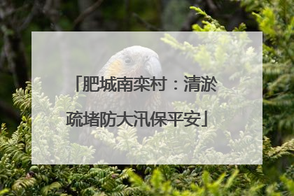 肥城南栾村：清淤疏堵防大汛保平安