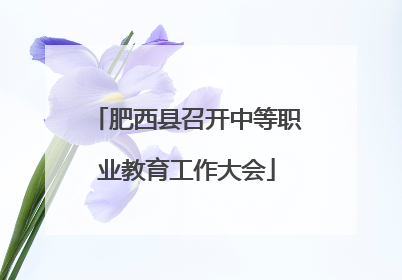 肥西县召开中等职业教育工作大会