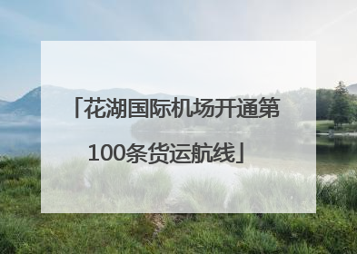 花湖国际机场开通第100条货运航线
