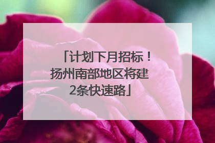 计划下月招标！扬州南部地区将建2条快速路