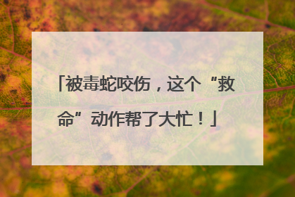 被毒蛇咬伤，这个“救命”动作帮了大忙！