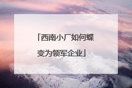 西南小厂如何蝶变为领军企业
