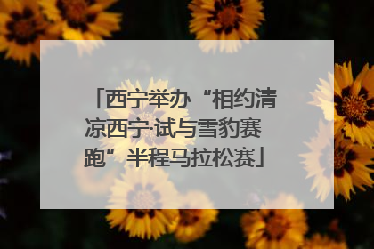 西宁举办“相约清凉西宁·试与雪豹赛跑”半程马拉松赛