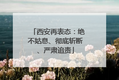西安再表态：绝不姑息、彻底斩断、严肃追责