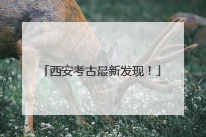 西安考古最新发现！