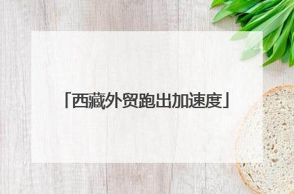 西藏外贸跑出加速度