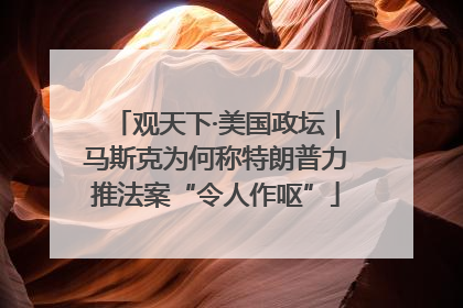 观天下·美国政坛｜马斯克为何称特朗普力推法案“令人作呕”
