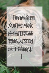 解码全国文明村孙家庄信用筑基育新风文明沃土结硕果