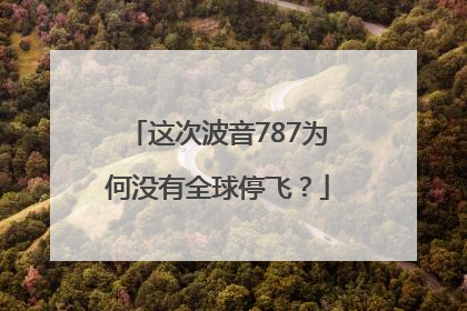 这次波音787为何没有全球停飞？