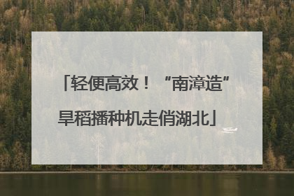 轻便高效！“南漳造”旱稻播种机走俏湖北