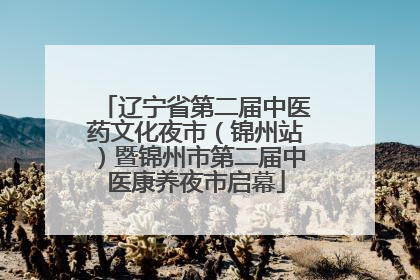 辽宁省第二届中医药文化夜市（锦州站）暨锦州市第二届中医康养夜市启幕