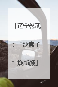 辽宁彰武：“沙窝子”焕新颜