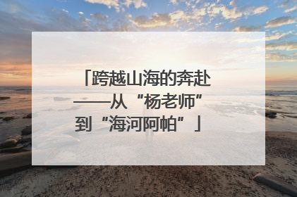 跨越山海的奔赴——从“杨老师”到“海河阿帕”