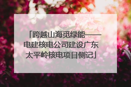 跨越山海觅绿能——电建核电公司建设广东太平岭核电项目侧记