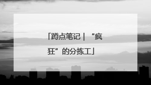 蹲点笔记｜“疯狂”的分拣工