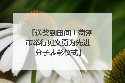 送奖到田间！菏泽市举行见义勇为先进分子表彰仪式