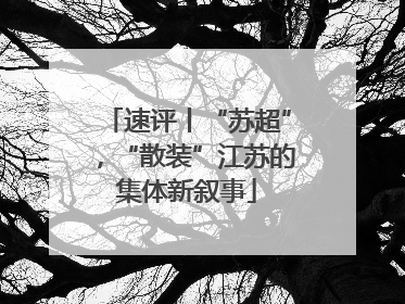 速评丨“苏超”，“散装”江苏的集体新叙事
