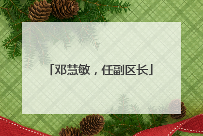 邓慧敏，任副区长