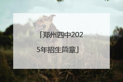 郑州四中2025年招生简章