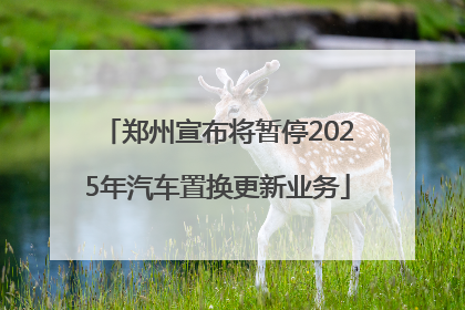 郑州宣布将暂停2025年汽车置换更新业务