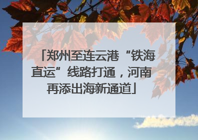 郑州至连云港“铁海直运”线路打通，河南再添出海新通道