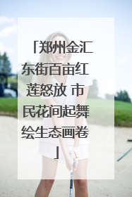 郑州金汇东街百亩红莲怒放 市民花间起舞绘生态画卷
