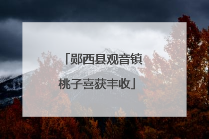 郧西县观音镇桃子喜获丰收