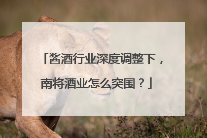 酱酒行业深度调整下，南将酒业怎么突围？