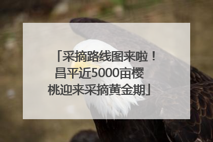 采摘路线图来啦！昌平近5000亩樱桃迎来采摘黄金期