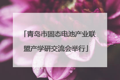 青岛市固态电池产业联盟产学研交流会举行