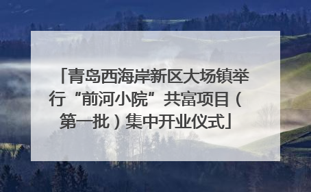 青岛西海岸新区大场镇举行“前河小院”共富项目（第一批）集中开业仪式