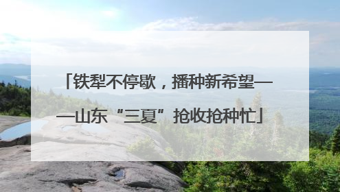 铁犁不停歇，播种新希望——山东“三夏”抢收抢种忙