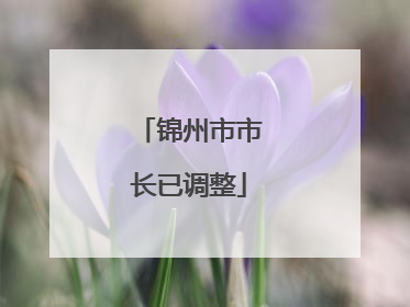 锦州市市长已调整