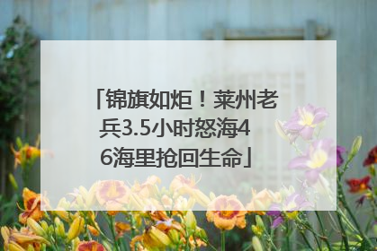 锦旗如炬！莱州老兵3.5小时怒海46海里抢回生命