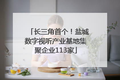 长三角首个！盐城数字视听产业基地集聚企业113家