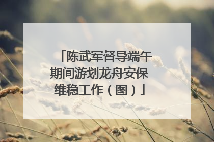 陈武军督导端午期间游划龙舟安保维稳工作（图）