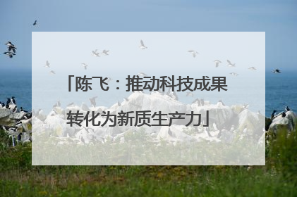 陈飞：推动科技成果转化为新质生产力